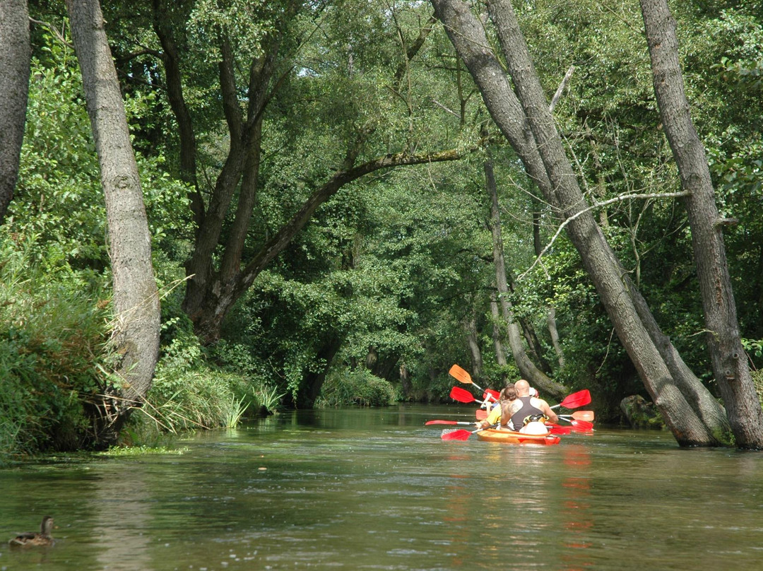 Kayaks - Nad Wieprzem景点图片
