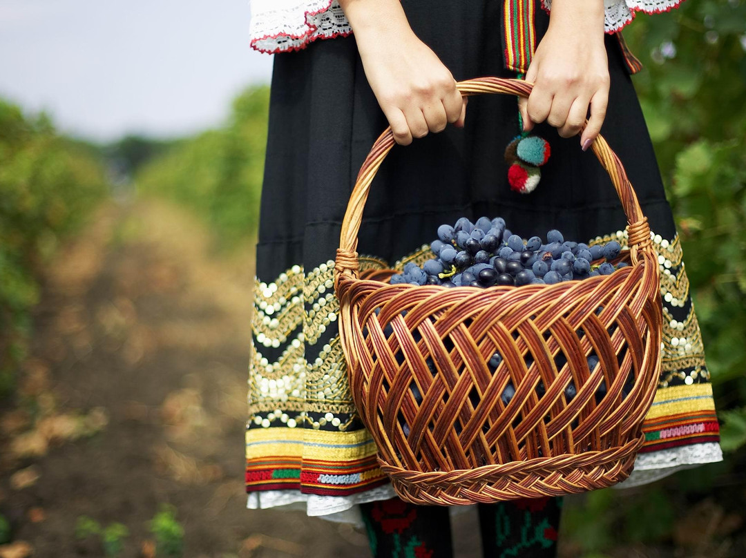 WineTours Moldova-基希讷乌必去景点