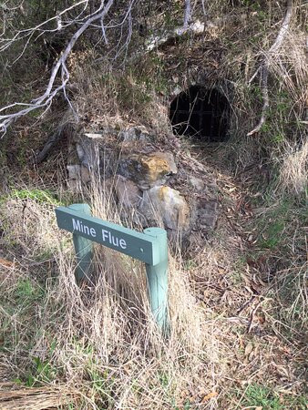 Talisker Conservation Park景点图片