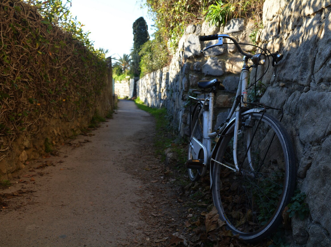 Passeggiata Del Beodo景点图片