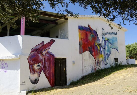 Donkey Dreamland Rescue Centre - Mijas景点图片