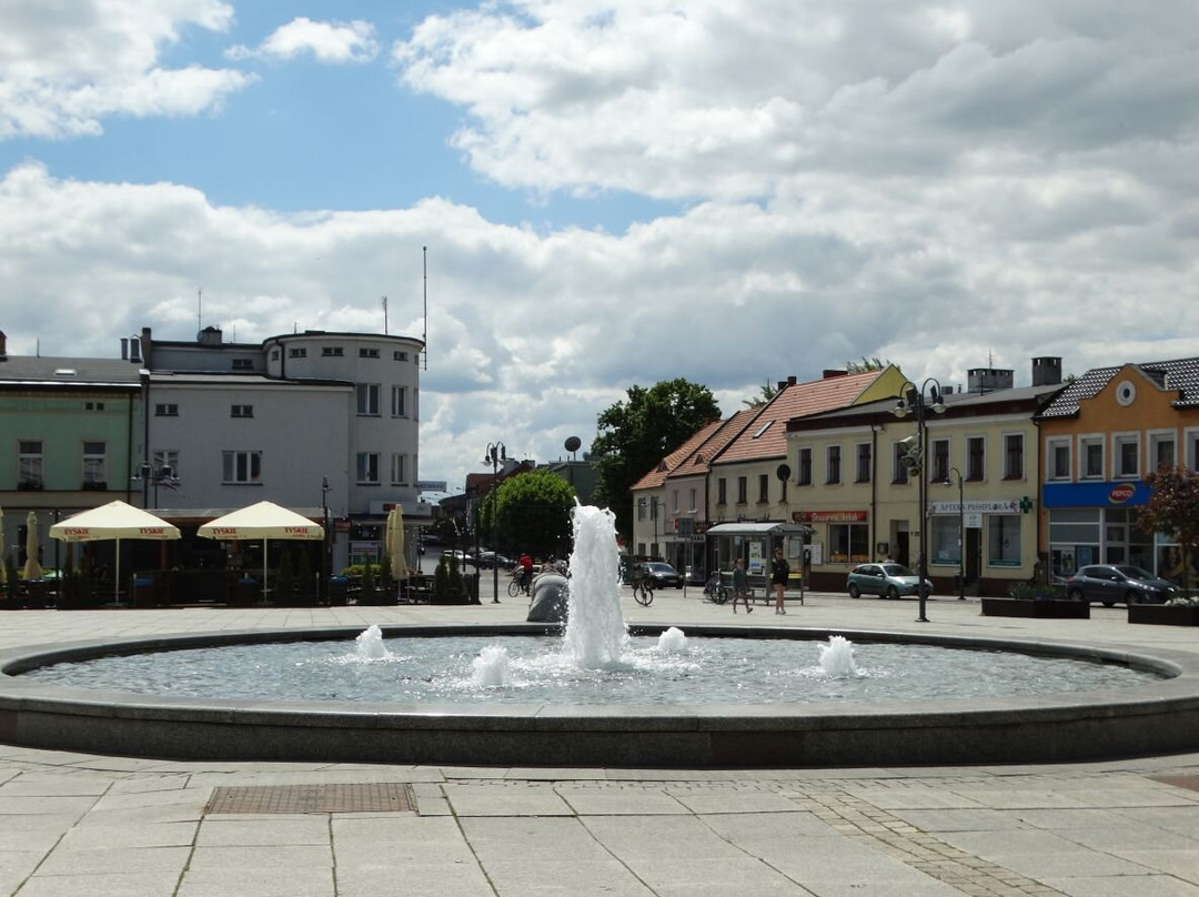 Wagrowiec Fountains景点图片