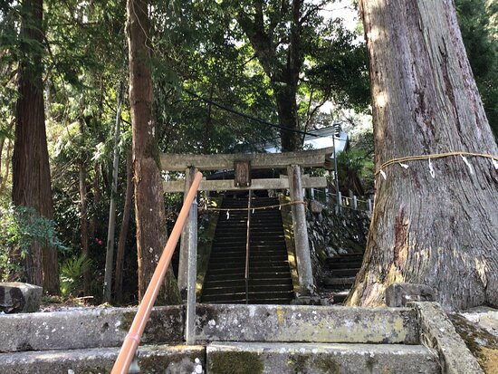 Zendoin-越生町必去景点