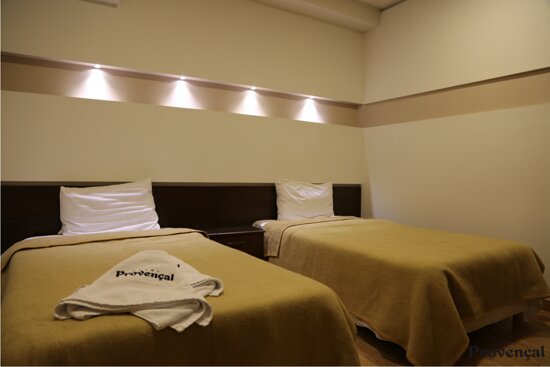 Hotel Provencal-客卧
