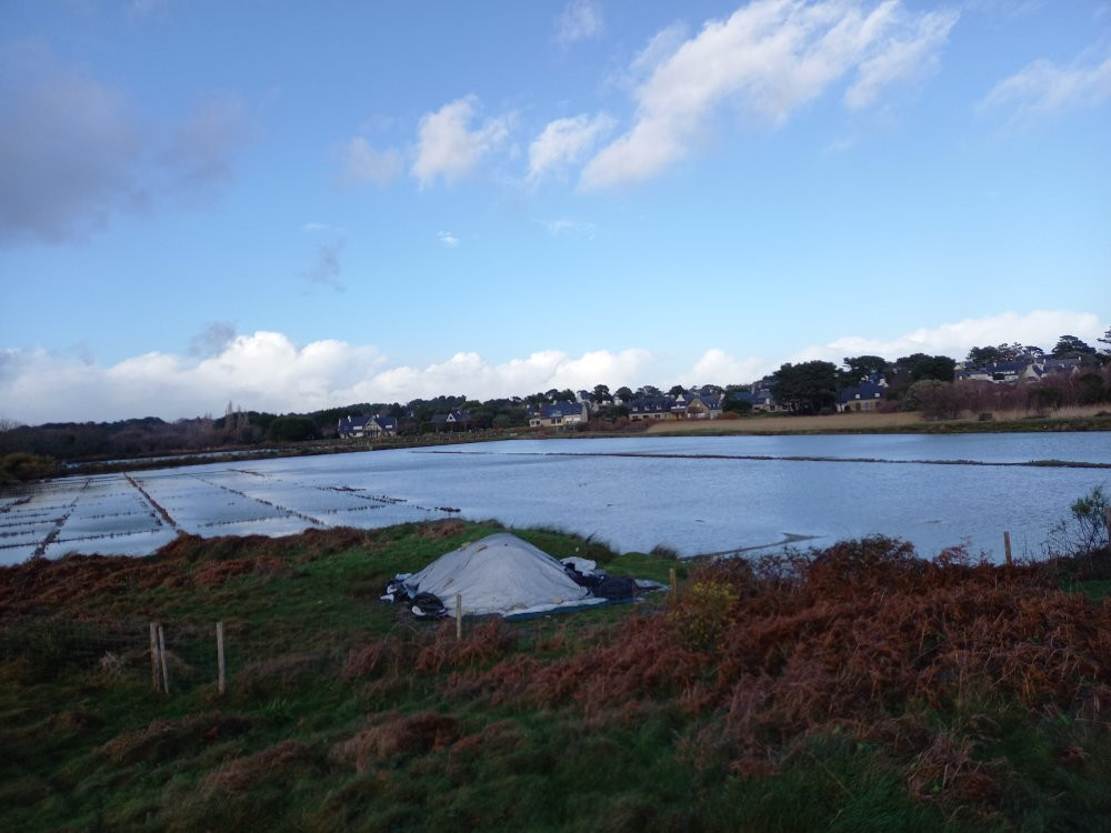 Marais Salants de Kervillen-La Trinite-sur-Mer必去景点
