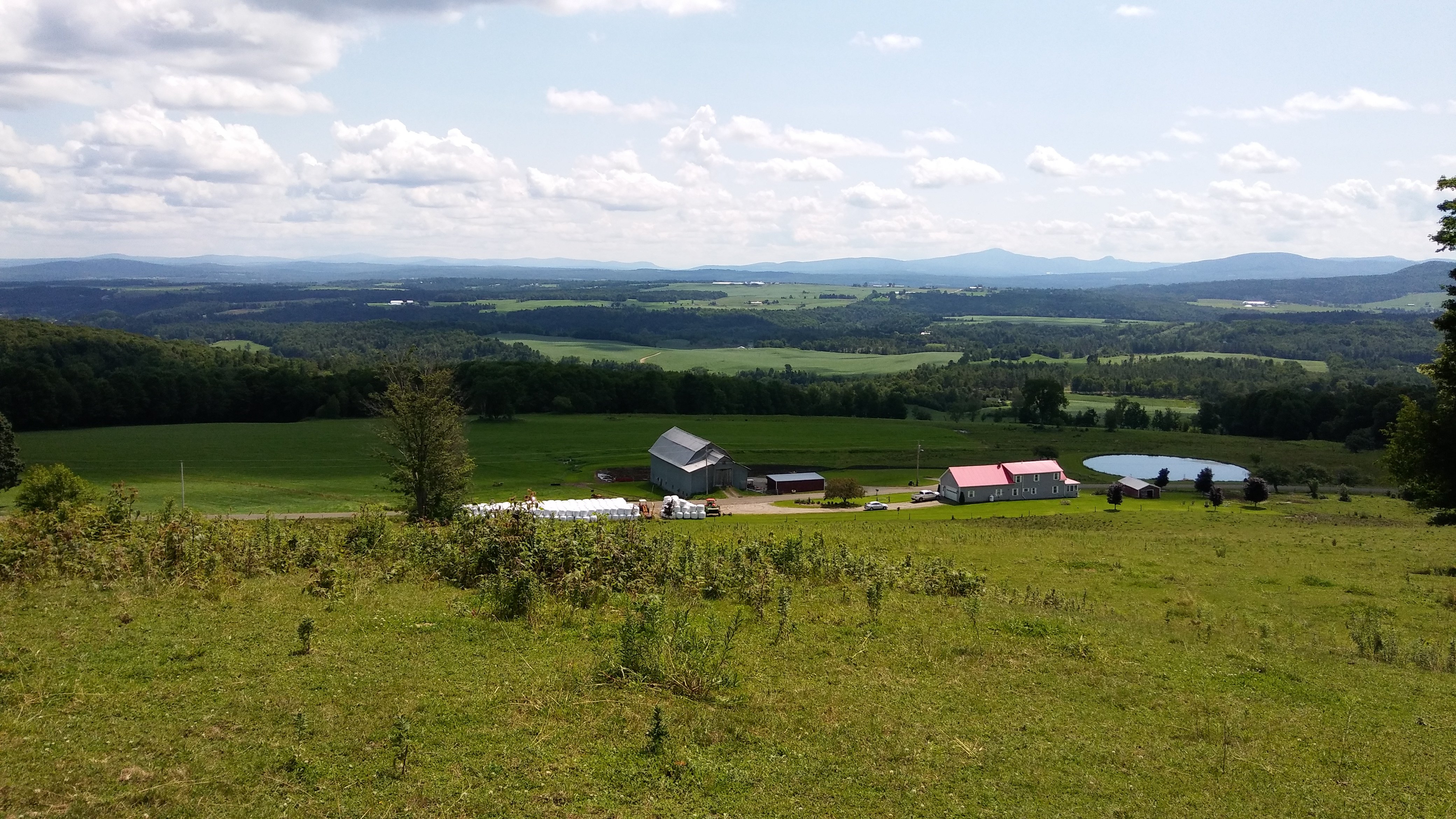 Mountain View Dairy Bed & Breakfast-官方