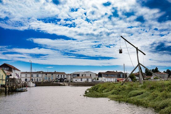 L'aigrette 2 Seudre Croisières