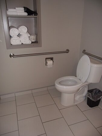 Microtel Inn & Suites by Wyndham Windham-浴室