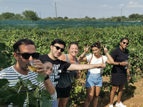 Adiona Travel-斯普利特必去景点