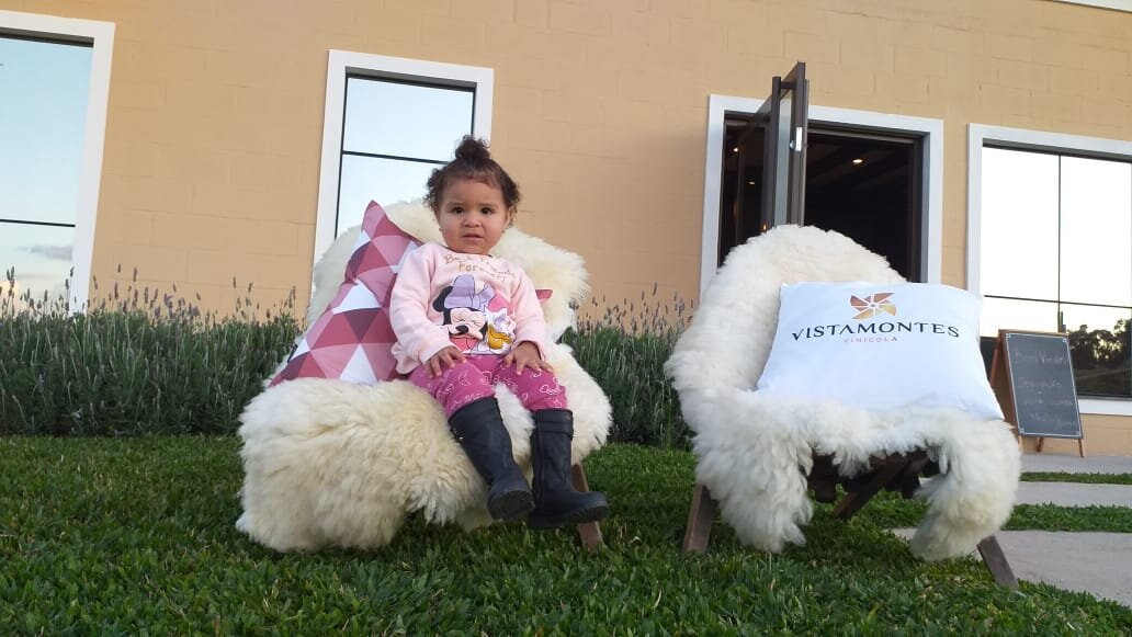 Vistamontes Vinicola-本图贡萨尔维斯必去景点