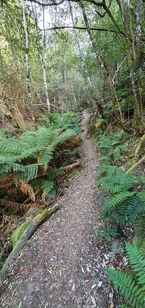 O'Grady's Falls Aka Oates Falls-Wellington Park必去景点