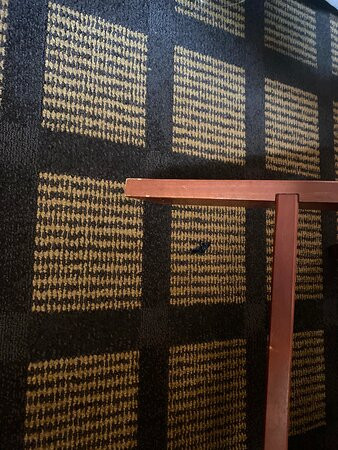 Super 8 by Wyndham Munfordville KY主图