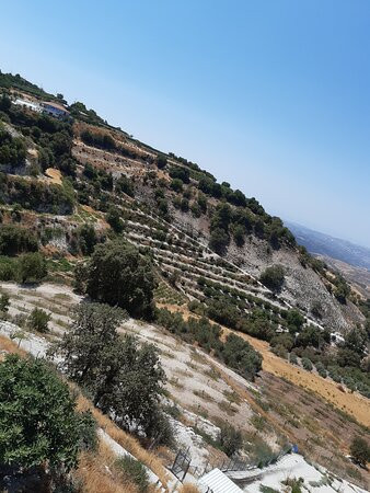 Kolios Winery-帕福斯必去景点