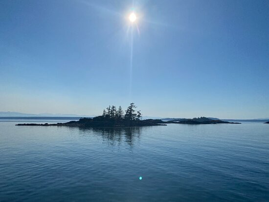 Discovery Marine Safaris Ltd.-坎贝尔里弗必去景点