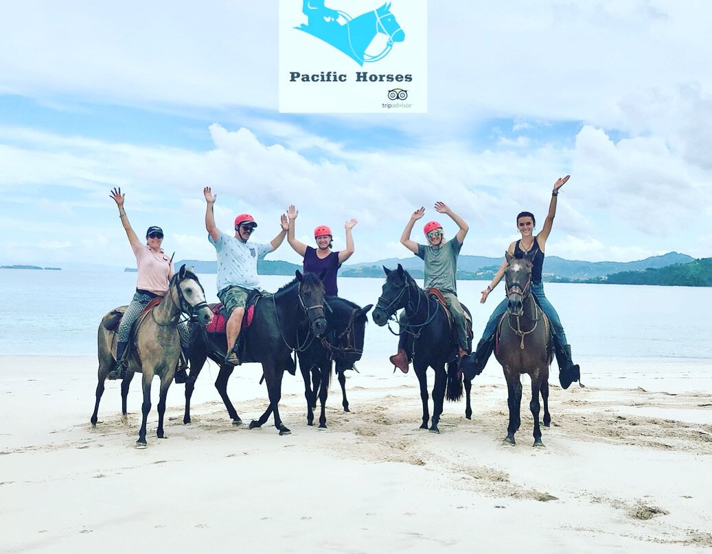 Pacific Horses景点图片