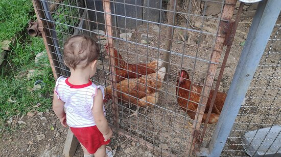 Le Giutte Bed & Breakfast主图