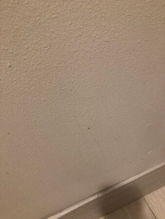 Days Inn by Wyndham Americus主图