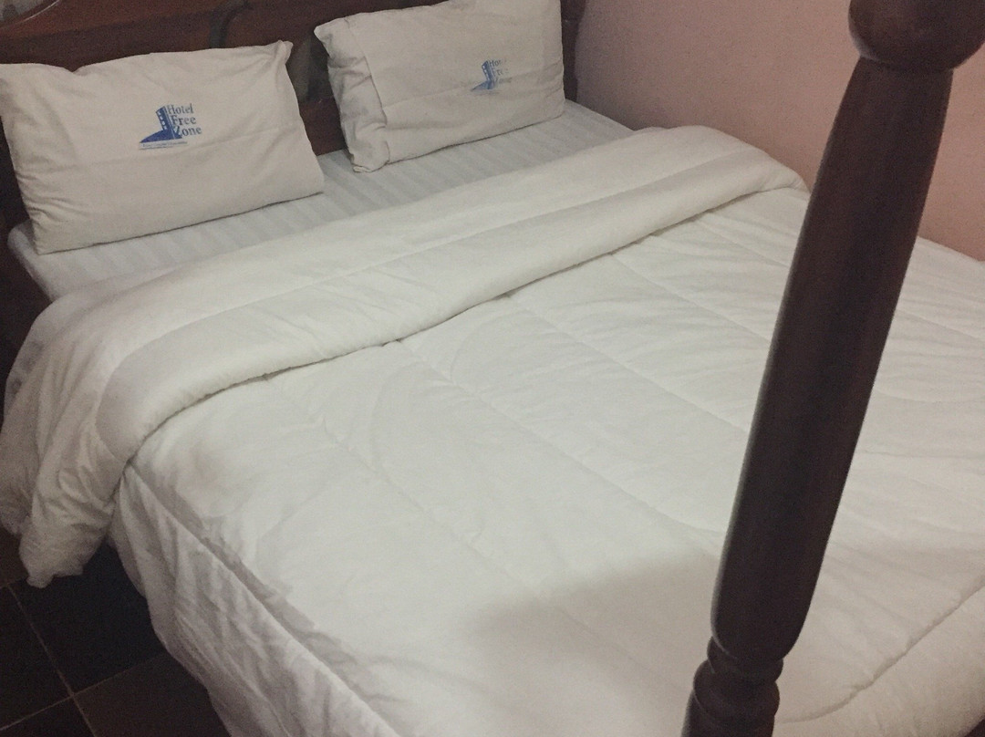 Hotel Free Zone主图