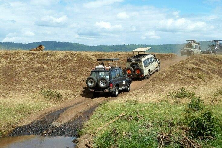 BEST Kilimanjaro CLIMB | HIKE | BIKE TREK | Tanzania Safaris from Moshi & Arusha