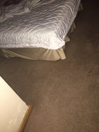 Victoria Hotel主图