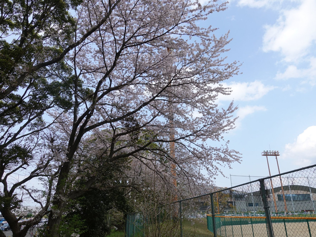 Omura City Baseball Stadium-大村市必去景点