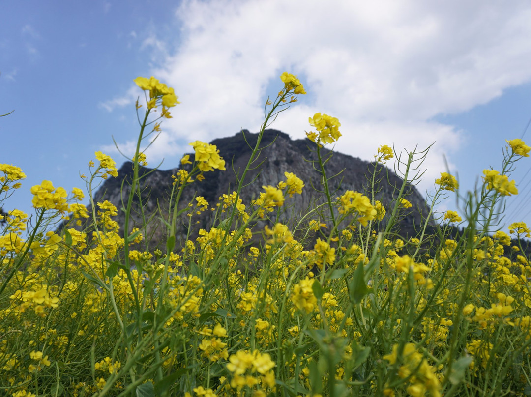 Sanbangsan Mountain