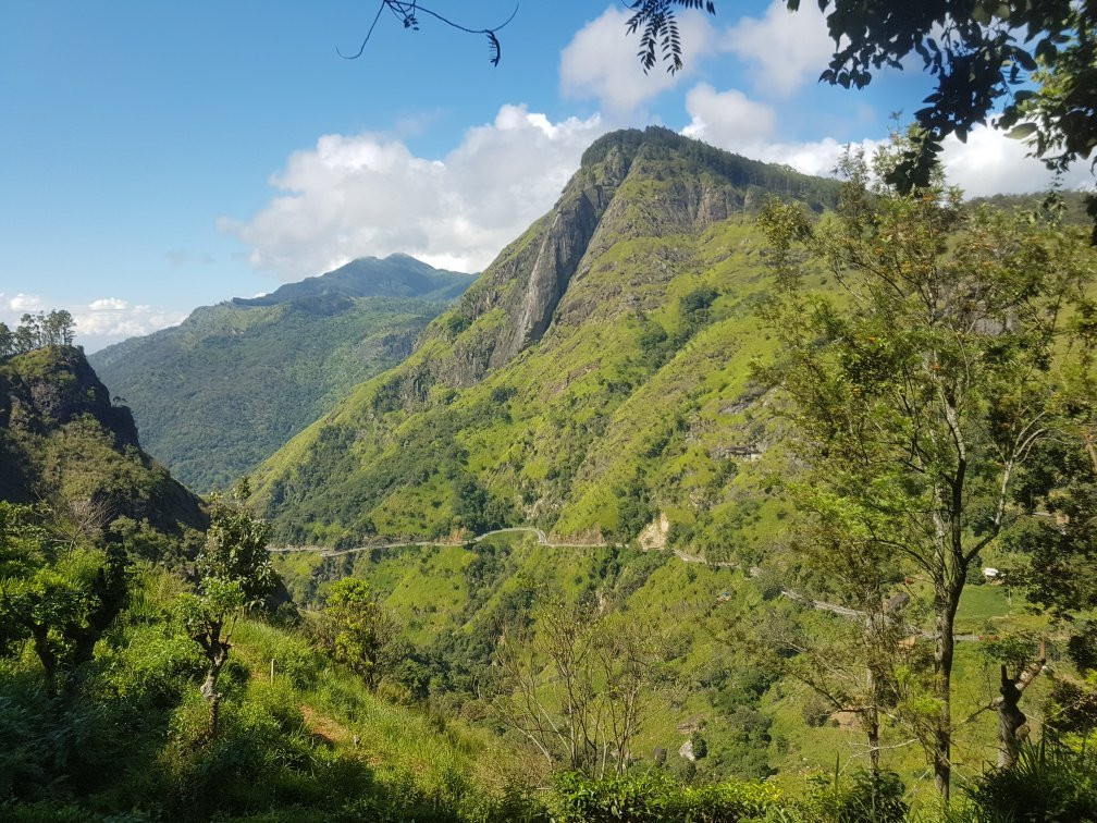 Gurudeniya旅游攻略图片