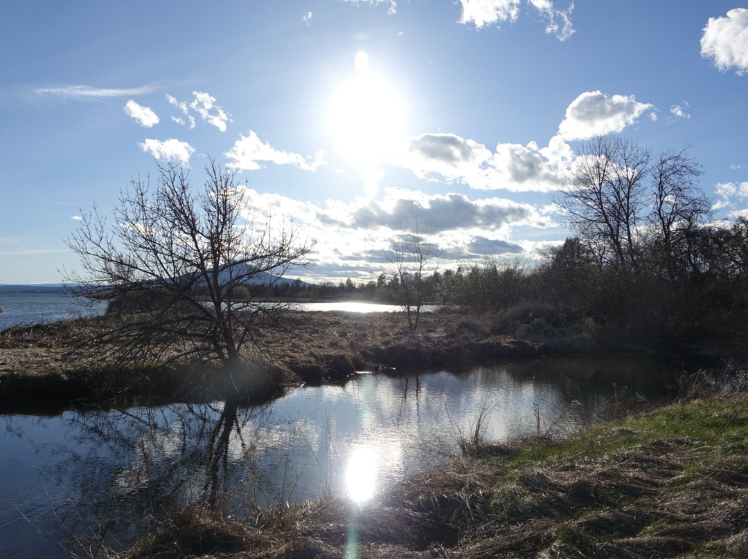 McArthur旅游攻略图片