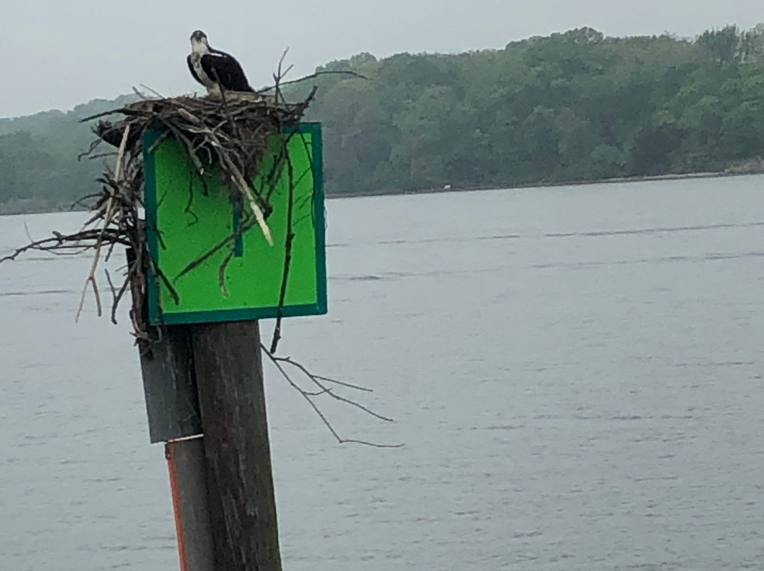 West River旅游攻略图片