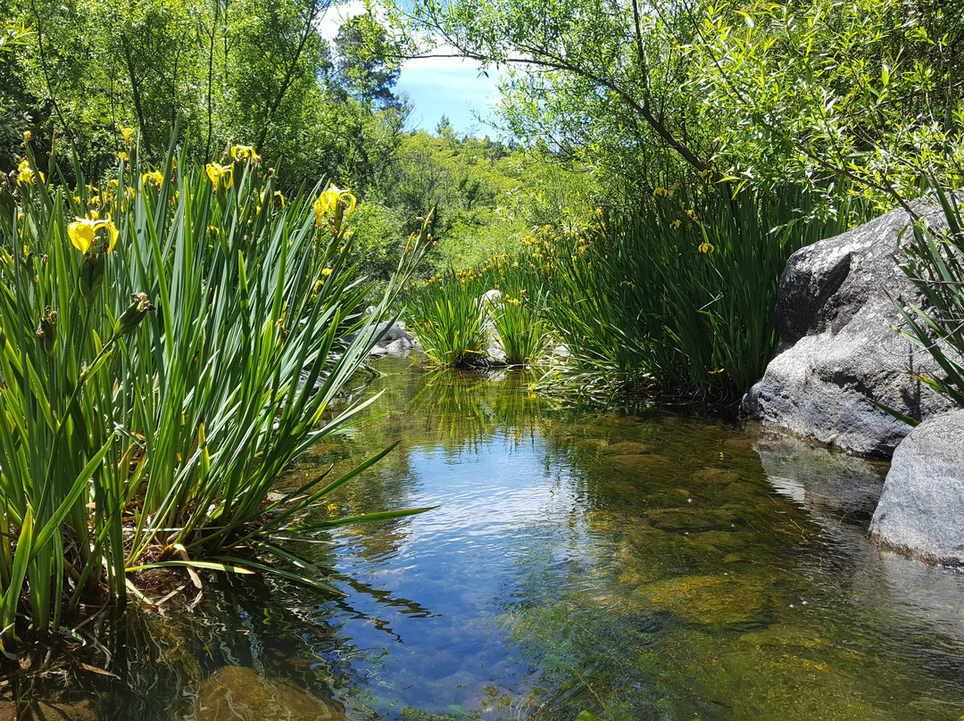 Villa Las Rosas旅游攻略图片