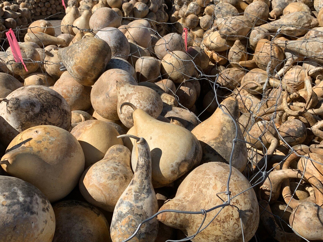 Wuertz Gourd Farm
