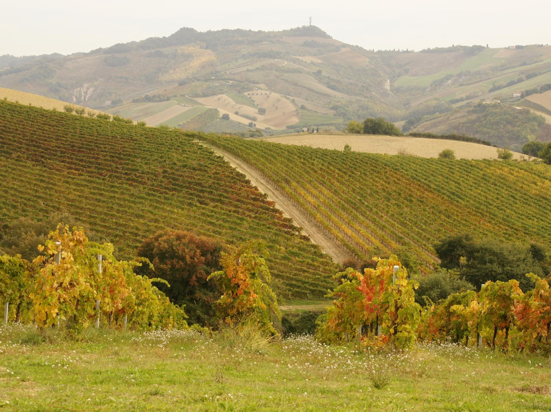 Appignano del Tronto旅游攻略图片
