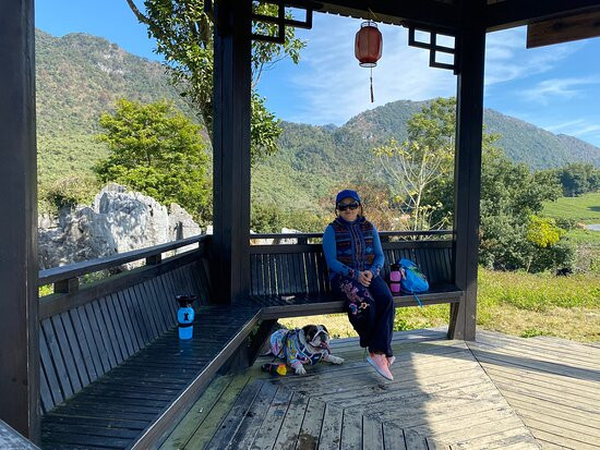 英德茶叶世界-英德市必去景点