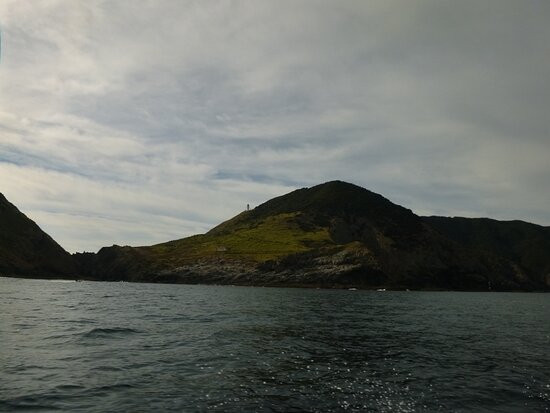 Bay of Islands Water Taxi景点图片