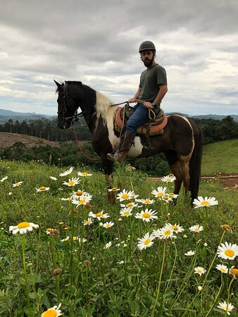 Haras Encanto Horse-蒙特贝尔德必去景点