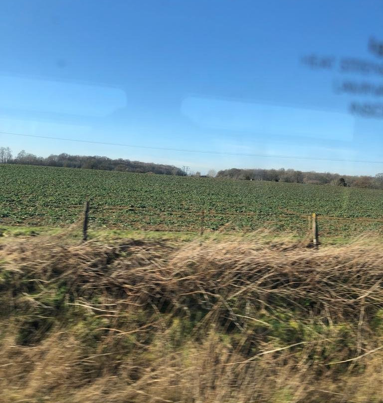 Bicester North Railway Station-Bicester必去景点
