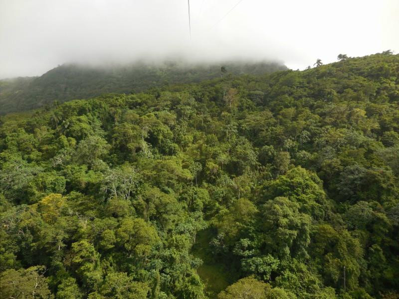 Isabel de Torres Trail-普拉塔港必去景点