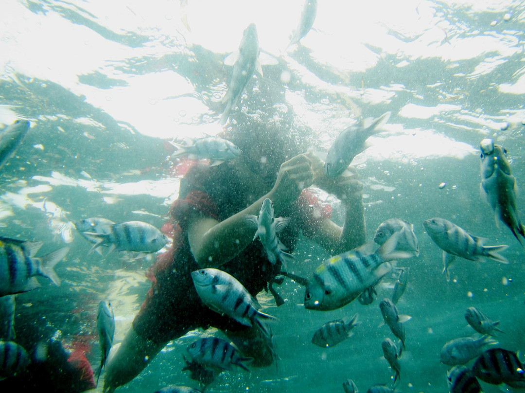 Kusuma Tour - Day Tours-登巴萨必去景点