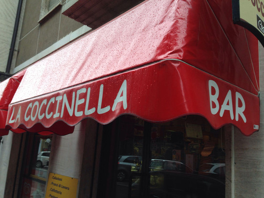 La coccinella