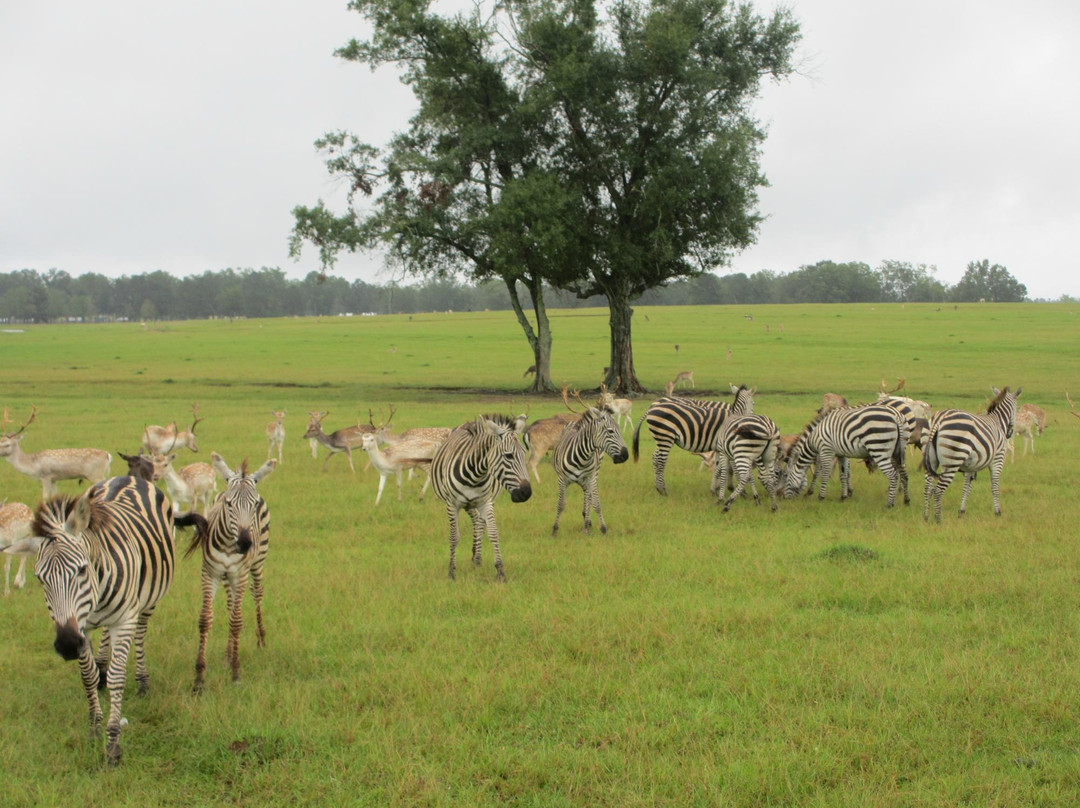 Folsom旅游攻略图片