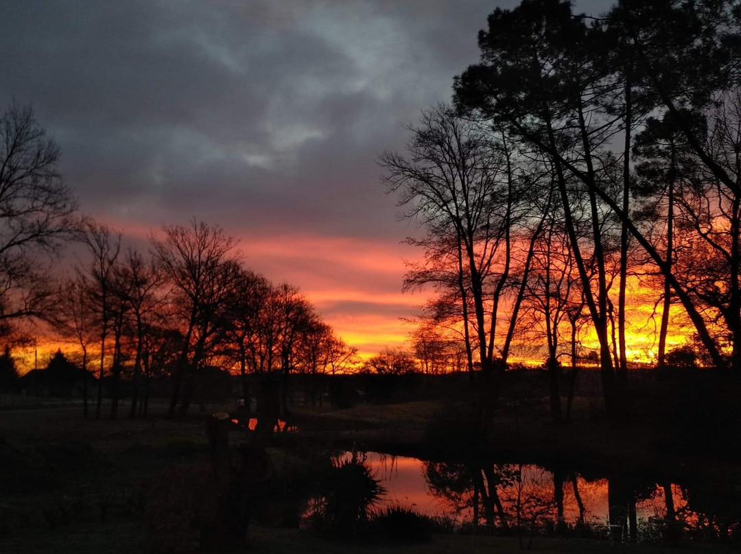 Oeyreluy旅游攻略图片