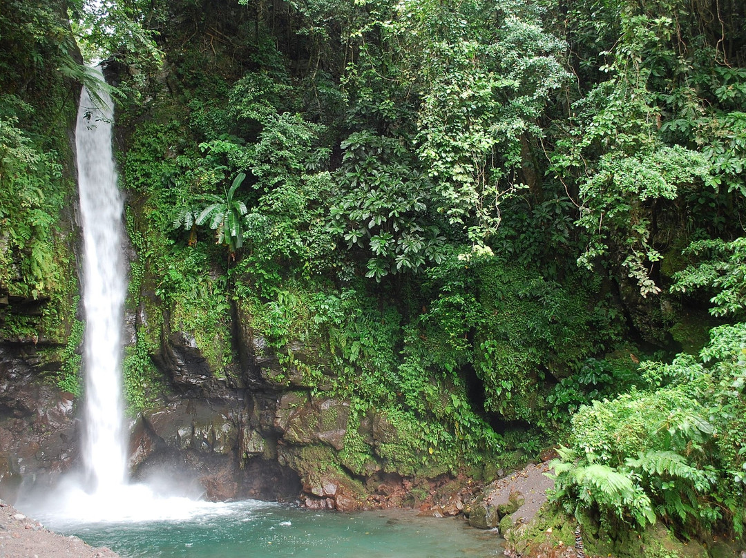 Tuasan Falls景点图片