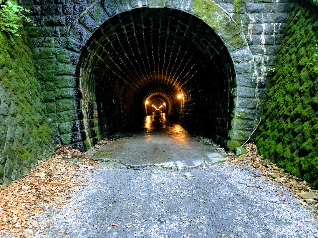 Mt. Amagi Tunnel (Former Amagi Tunnel)景点图片