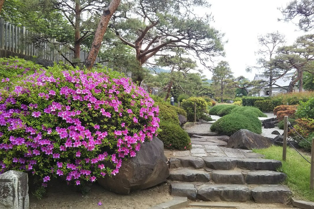 Maizuru Castle Park景点图片