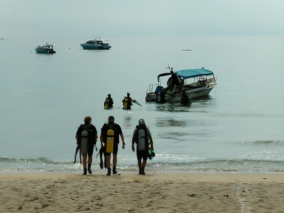 Tiong Man Scuba Dive & Lodge-刁曼岛必去景点