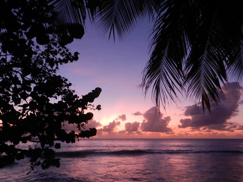 Triple R Tours Tobago