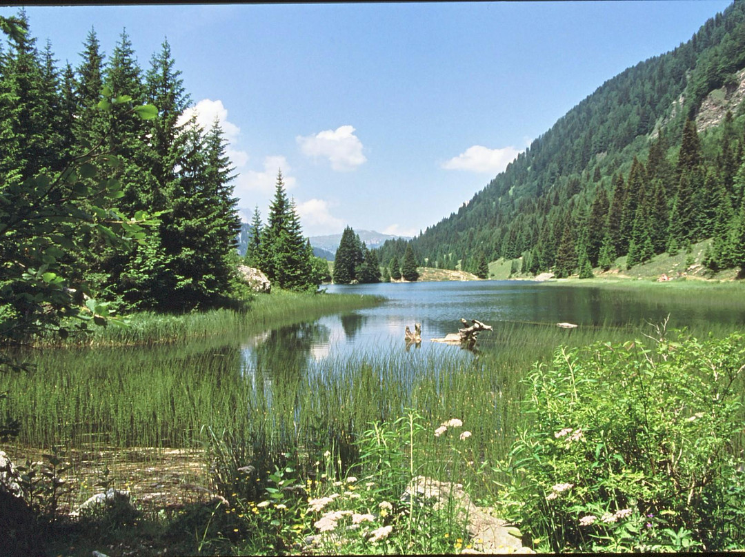 Val d'Agola