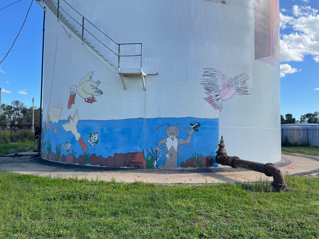 Walgett Water Tower Art景点图片