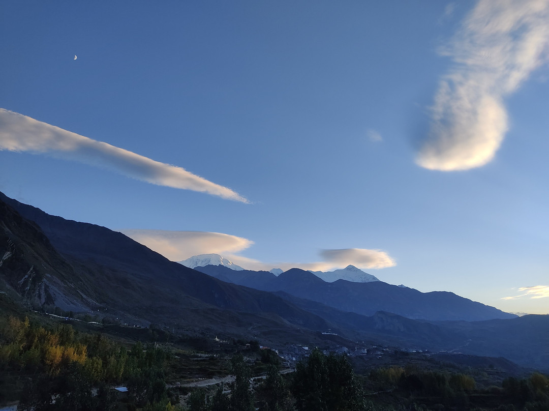 Panorama Inn Mustang