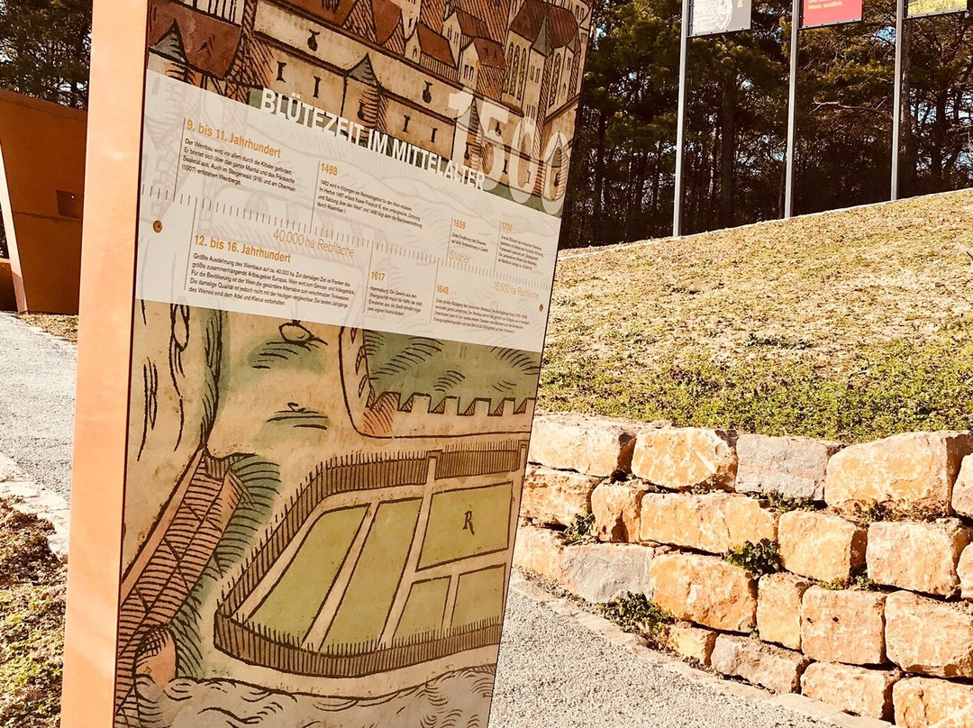 terroir f Hammelburg-Hammelburg必去景点